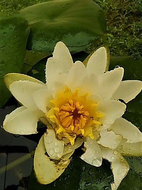f0354923_22441501.jpg