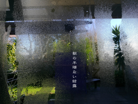 d0042827_20125761.jpg