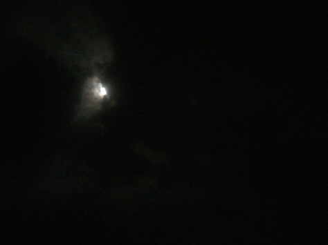 c0077330_13470353.jpg
