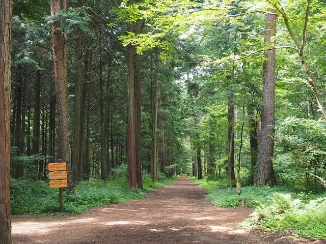 c0117831_21520205.jpg