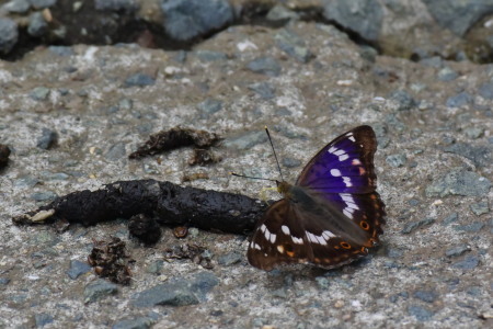 c0353632_16020114.jpg