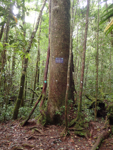 c0177135_23382101.jpg