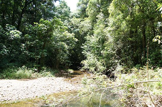 c0177135_23394475.jpg