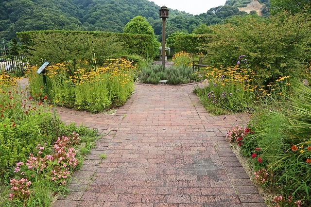 a0242438_20492640.jpg