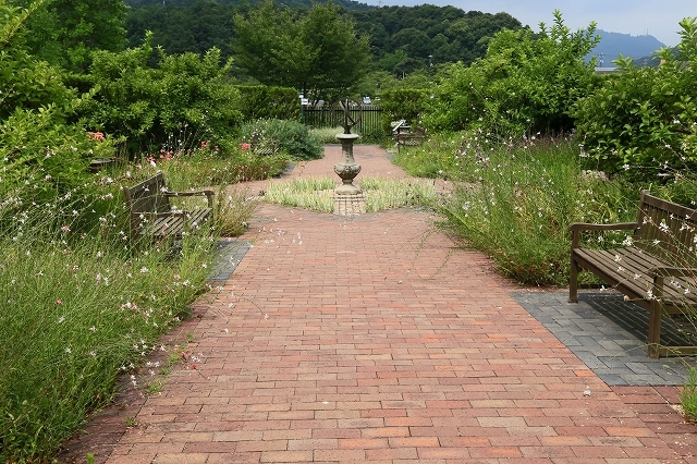 a0242438_20514406.jpg