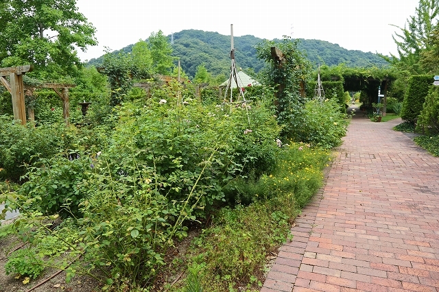 a0242438_20515272.jpg