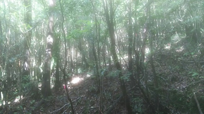 c0077338_16540831.jpg