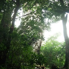 c0077338_16542739.jpg