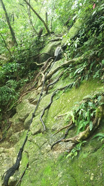 c0077338_16555430.jpg