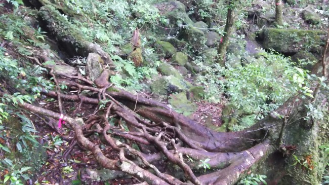 c0077338_16564703.jpg