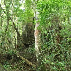 c0077338_16570393.jpg