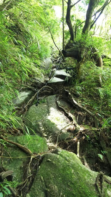 c0077338_16575060.jpg
