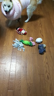 b0080342_07562555.jpg