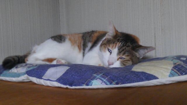 c0194042_21413072.jpg