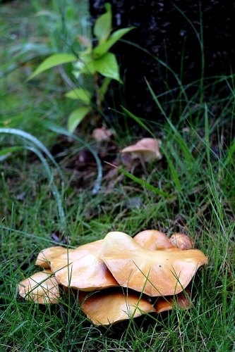 b0314043_08210834.jpg