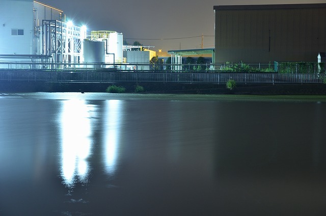 f0207943_10585939.jpg