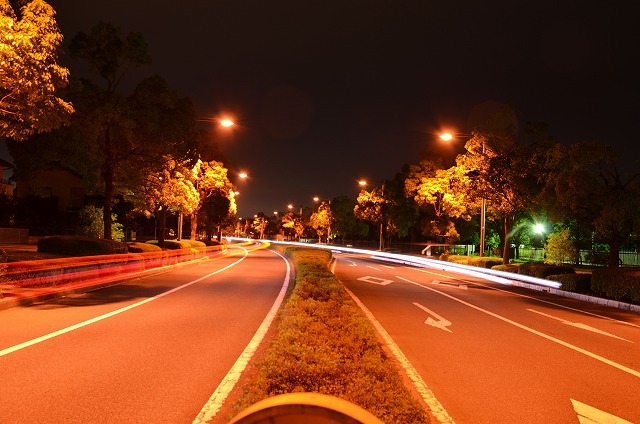 f0207943_10590493.jpg