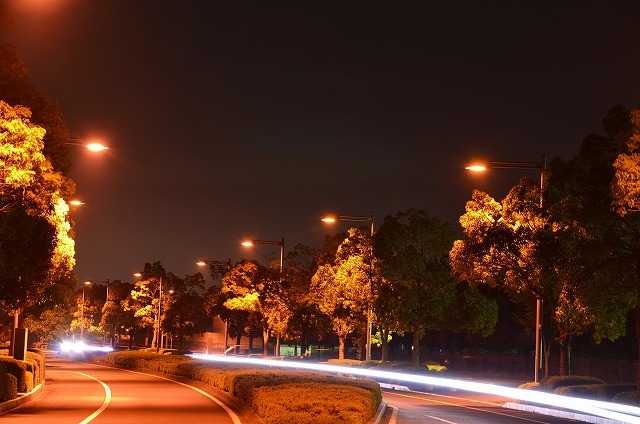 f0207943_10591561.jpg