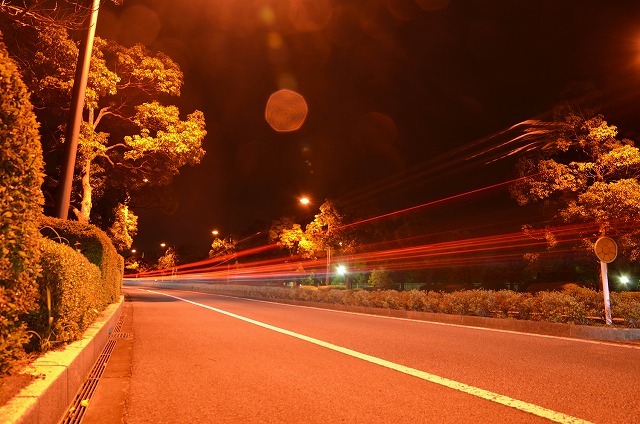 f0207943_10592450.jpg