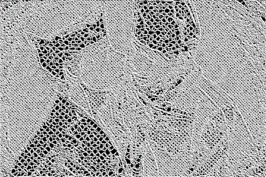 b0232447_20581063.jpg