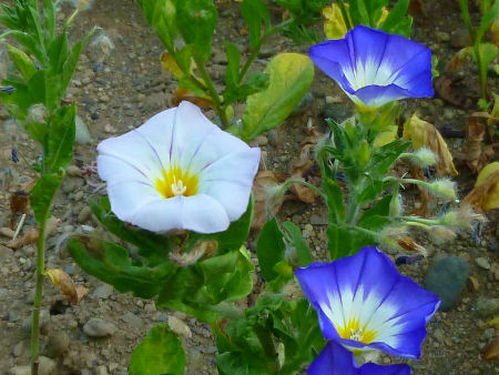 b0002549_10211171.jpg