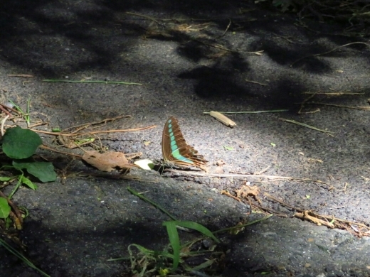 a0018655_14595136.jpg