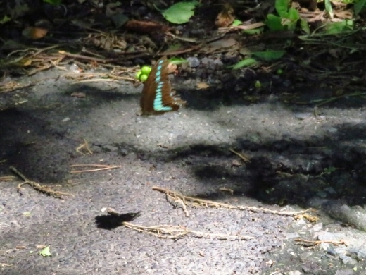 a0018655_14595464.jpg