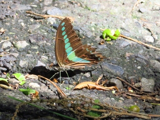a0018655_14595892.jpg