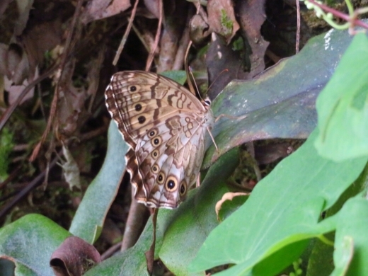 a0018655_15001246.jpg