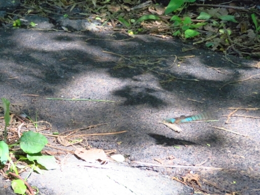 a0018655_15030995.jpg