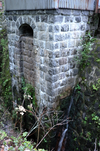 a0288155_17213360.jpg