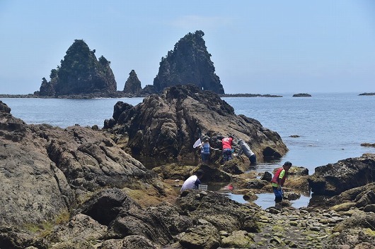 b0145863_12133163.jpg