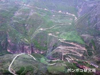 e0073268_21282228.jpg