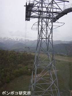e0073268_2128312.jpg
