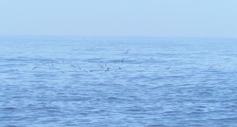 f0372177_11492899.jpg