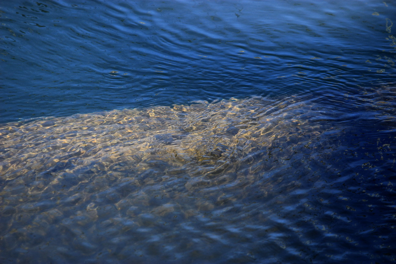 b0093678_21245905.jpg