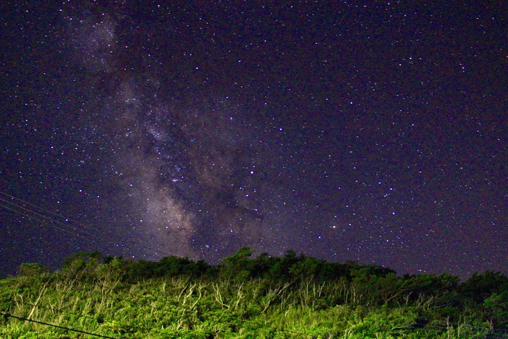 d0363878_21364210.jpg