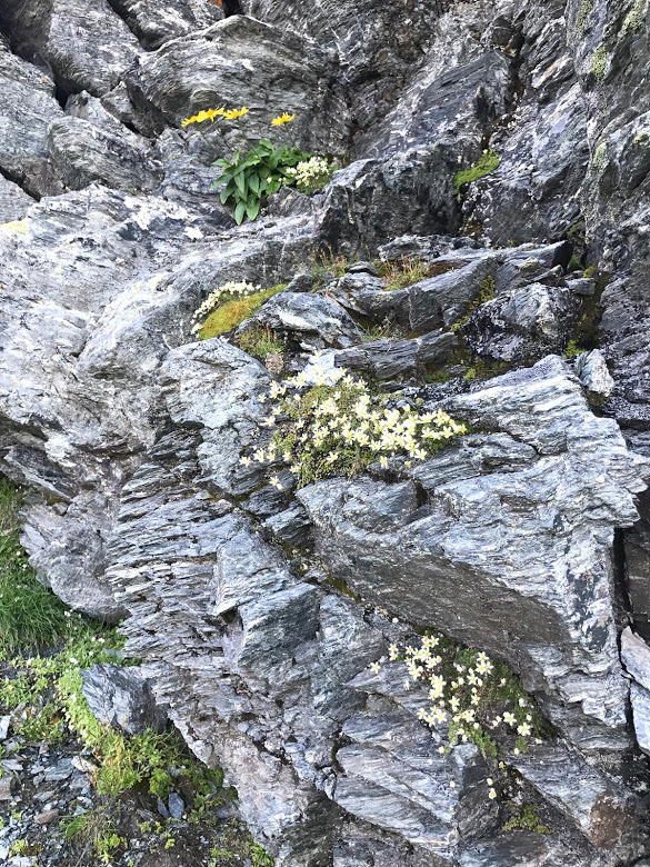 e0024081_10225548.jpg
