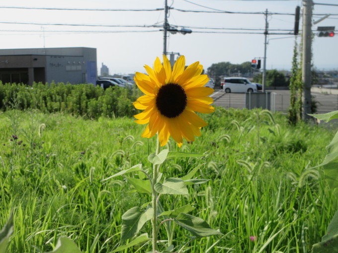 f0053885_21020799.jpg
