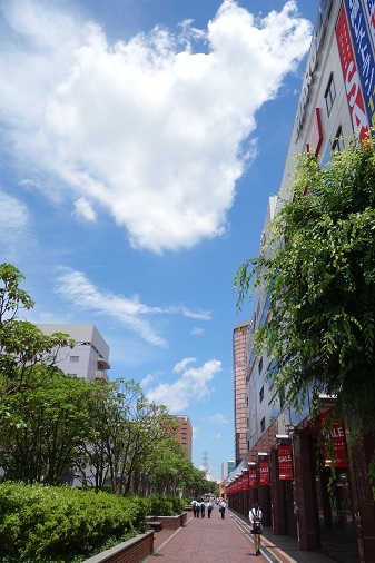 d0183387_08460370.jpg
