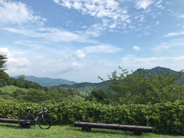 c0184491_1145695.jpg