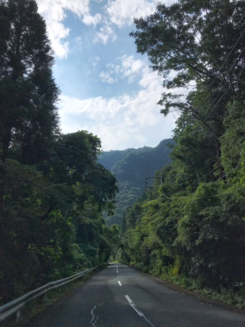 c0184491_115122.jpg
