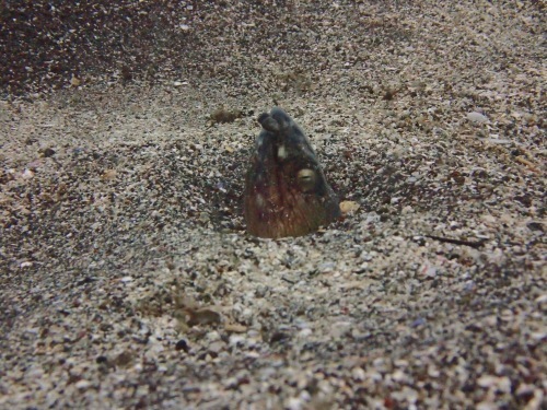 f0297095_11302838.jpeg