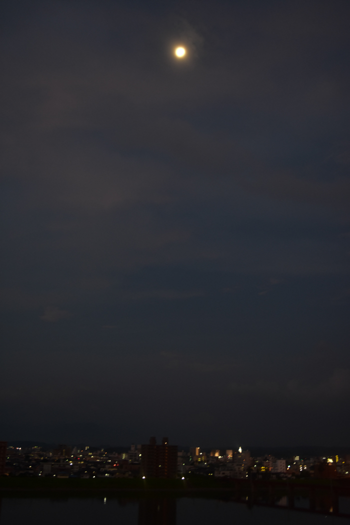 c0049299_21533036.jpg
