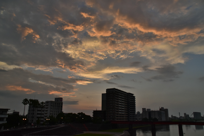 c0049299_22032035.jpg