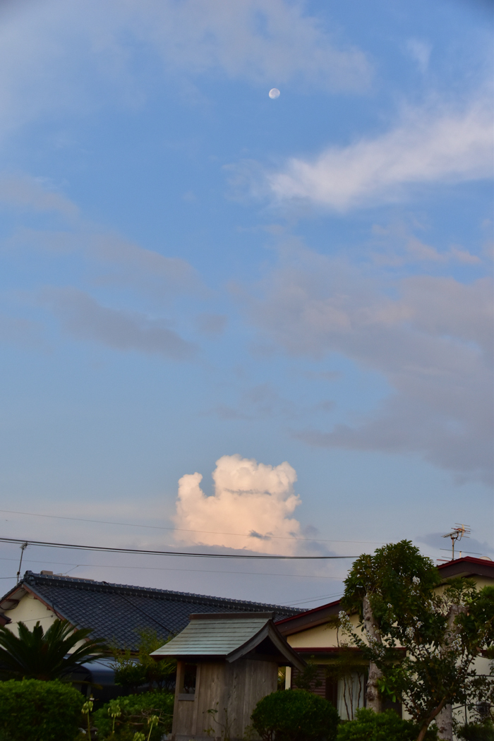 c0049299_22183637.jpg