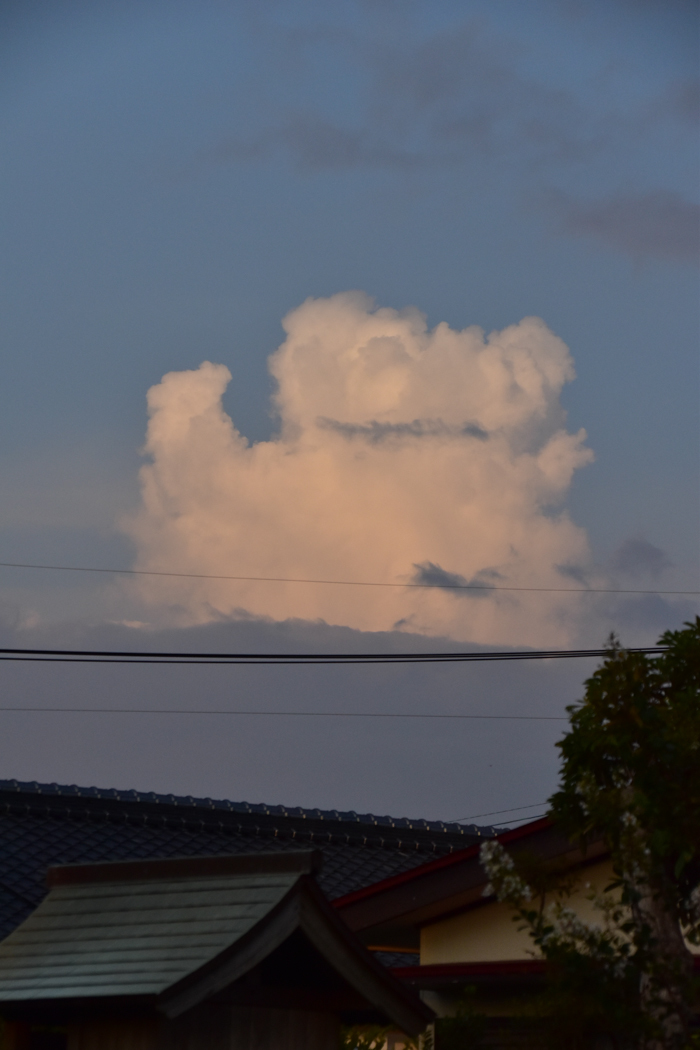 c0049299_22210769.jpg