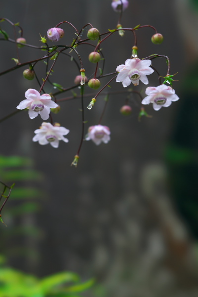 f0233999_23324719.jpg