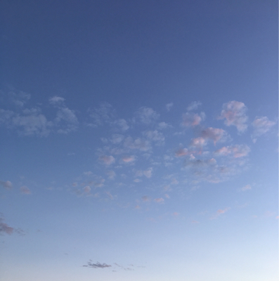b0349003_19332664.jpg