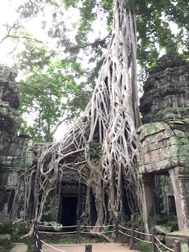 d0341811_11293150.jpg